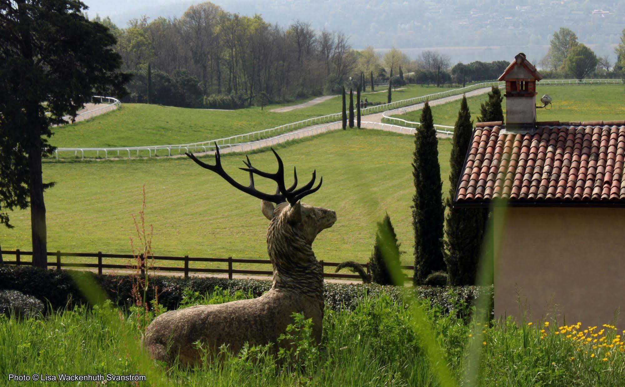 Foresteria Dei Piaceri Campestri Casciago Exterior foto